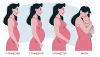 Hamilelikte 9. Hafta